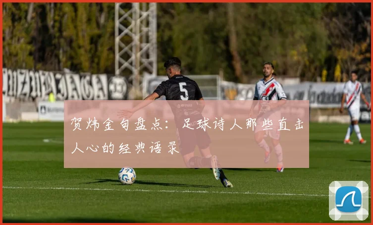 贺炜金句盘点：足球诗人那些直击人心的经典语录